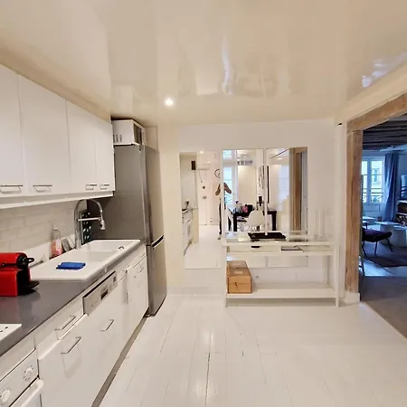 Apartment Luxury Design Place Des Vosges Paris