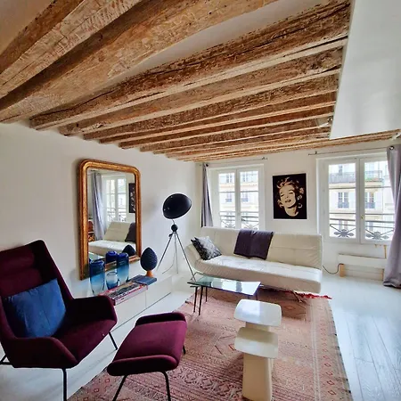 Luxury Design Apartment Place Des Vosges